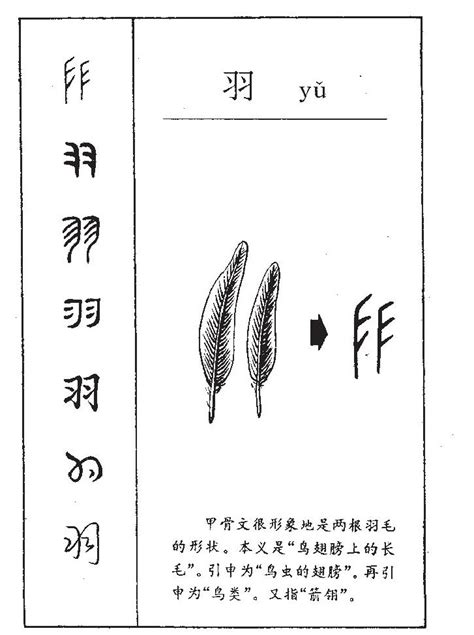 羽的意思名字